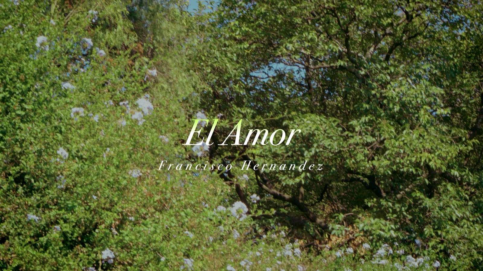 Francisco Hernández · El amor