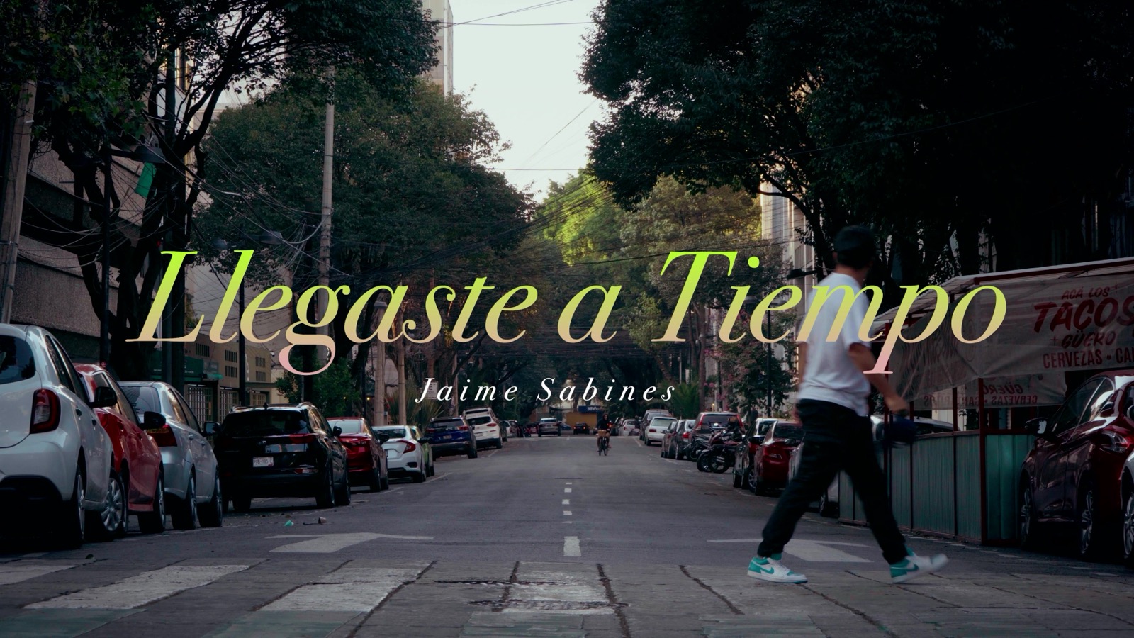 Jaime Sabines · Llegaste a tiempo