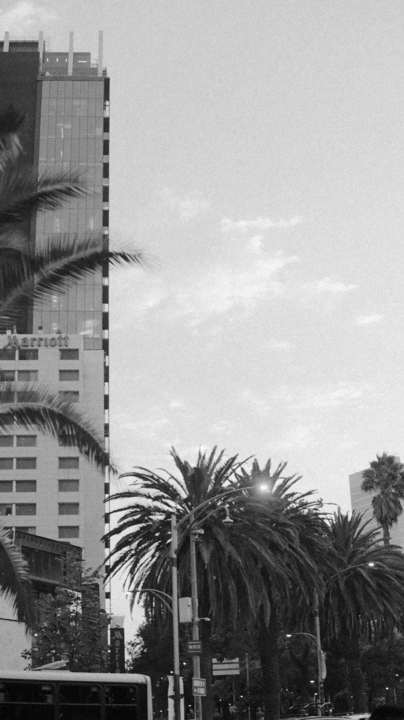 Reforma